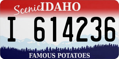 ID license plate I614236