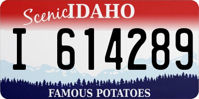 ID license plate I614289