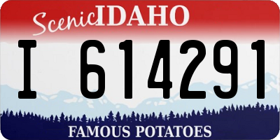 ID license plate I614291