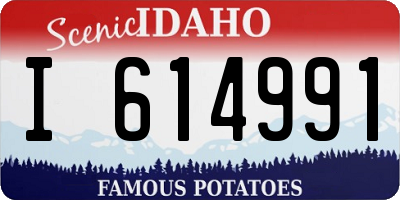 ID license plate I614991
