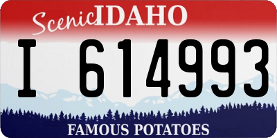 ID license plate I614993