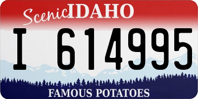 ID license plate I614995