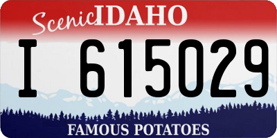 ID license plate I615029