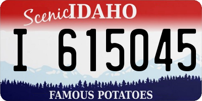 ID license plate I615045