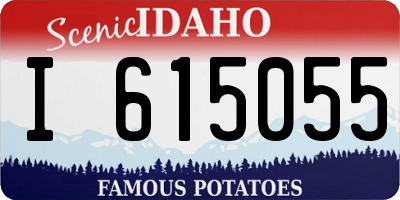 ID license plate I615055