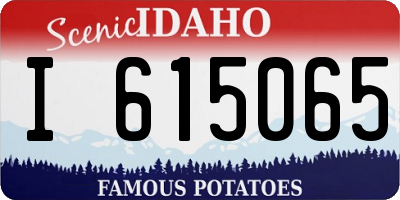 ID license plate I615065
