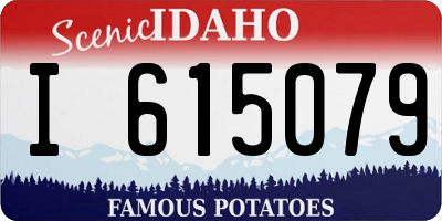 ID license plate I615079