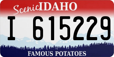 ID license plate I615229