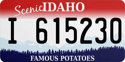 ID license plate I615230