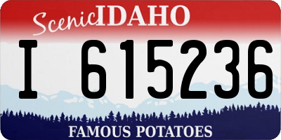 ID license plate I615236