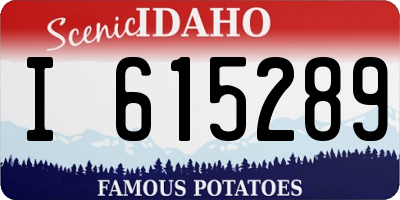 ID license plate I615289