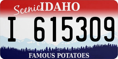 ID license plate I615309
