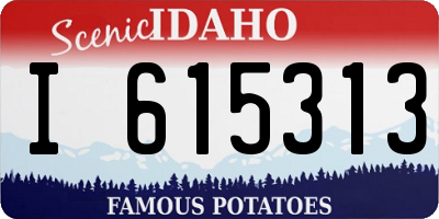 ID license plate I615313