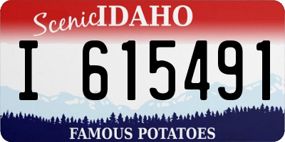 ID license plate I615491