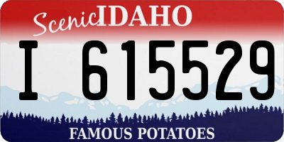 ID license plate I615529