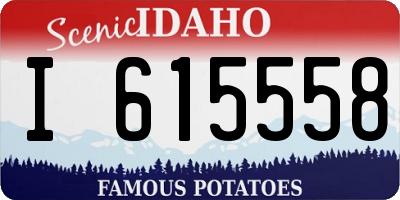 ID license plate I615558