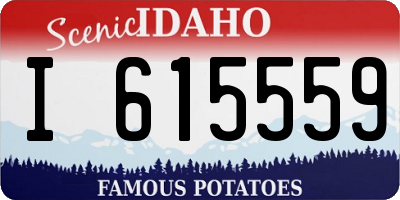 ID license plate I615559