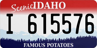 ID license plate I615576