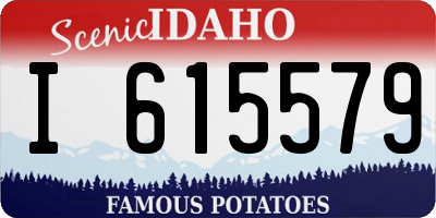 ID license plate I615579
