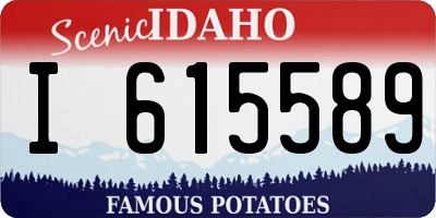 ID license plate I615589
