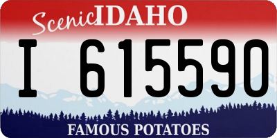 ID license plate I615590