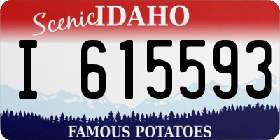 ID license plate I615593