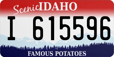 ID license plate I615596