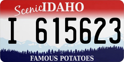 ID license plate I615623
