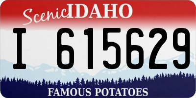 ID license plate I615629