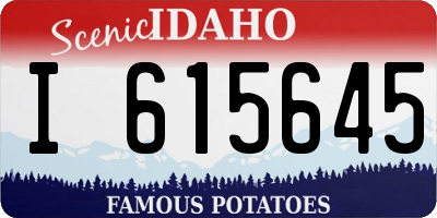 ID license plate I615645