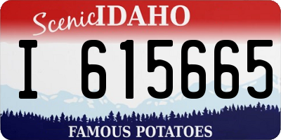 ID license plate I615665