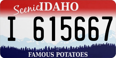ID license plate I615667