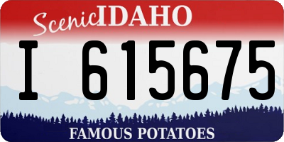 ID license plate I615675