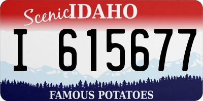 ID license plate I615677