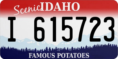 ID license plate I615723