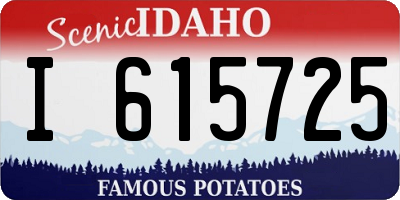 ID license plate I615725