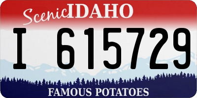ID license plate I615729