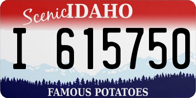 ID license plate I615750