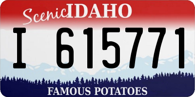 ID license plate I615771