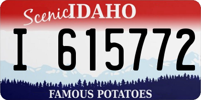 ID license plate I615772