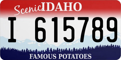 ID license plate I615789