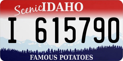 ID license plate I615790