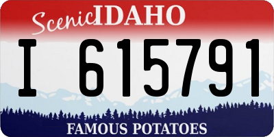 ID license plate I615791