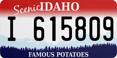 ID license plate I615809