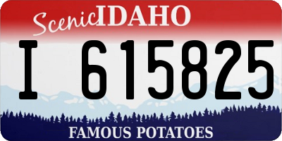 ID license plate I615825