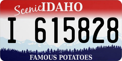 ID license plate I615828