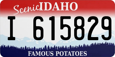 ID license plate I615829