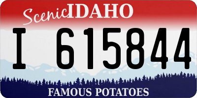 ID license plate I615844
