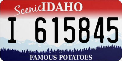 ID license plate I615845