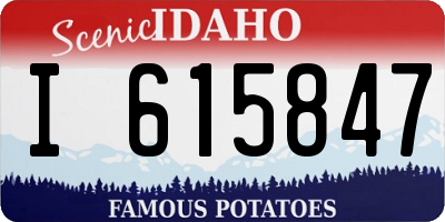 ID license plate I615847